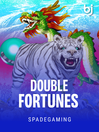 Double Fortunes